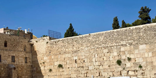 Tisha B'Av 5786