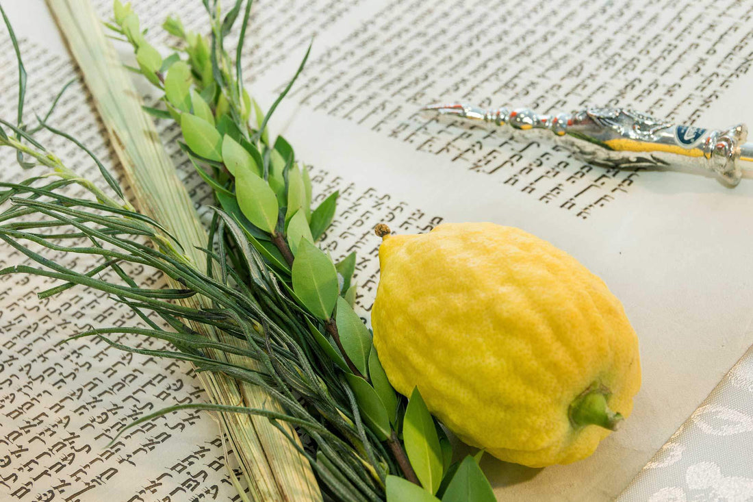 Sukkot FAQs (5787)